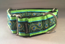 Ribbon Martingale Dog Collar